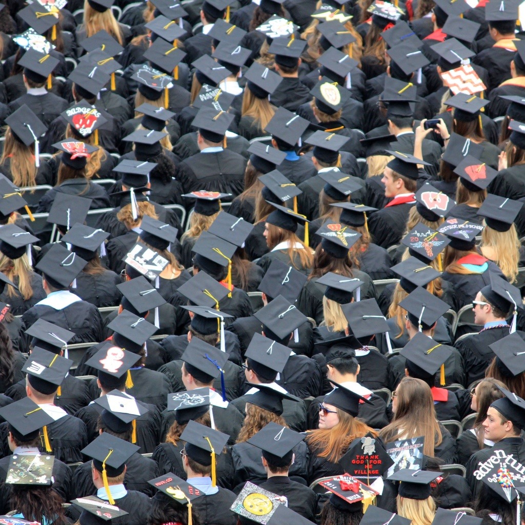 Differentiating your candidacy in a sea of graduates