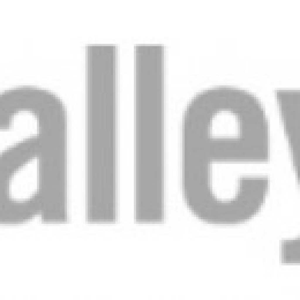 lehigh valley live - Nolan Branding